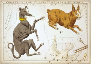 Sidney_Hall_-_Urania's_Mirror_-_Canis_Major,_Lepus,_Columba_Noachi_&_Cela_Sculptoris (3)