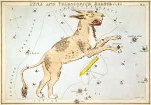 Sidney_Hall_-_Urania's_Mirror_-_Lynx_and_Telescopium_Herschilii