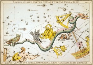 Sidney_Hall_-_Urania's_Mirror_-_Noctua,_Corvus,_Crater,_Sextans_Uraniæ,_Hydra,_Felis,_Lupus,_Centaurus,_Antlia_Pneumatica,_Argo_Navis,_and_Pyxis_Nautica (4)