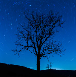 It's On!- Sky Meadows State Park- Astronomy for Everyone @ Sky Meadows State Park