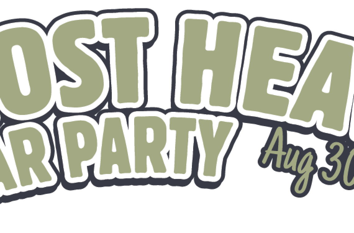 19AHSPGraphics_300x90
