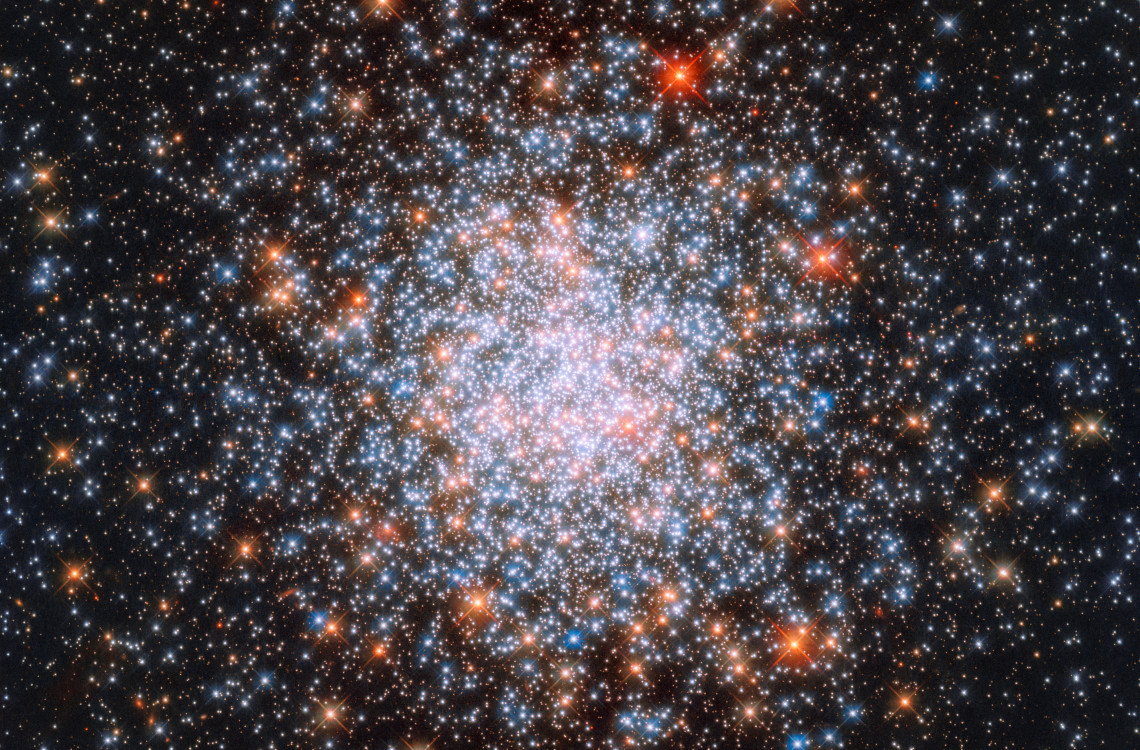 Star clusters are common structures throughout the Universe, each made up of hundreds of thousands of stars all bound together by gravity. This star-filled image, taken with the NASA/ESA Hubble Space Telescope’s Wide Field Camera 3 (WFC3), shows one of them: NGC 1866. NGC 1866 is found at the very edges of the Large Magellanic Cloud, a small galaxy located near to the Milky Way. The cluster was discovered in 1826 by Scottish astronomer James Dunlop, who catalogued thousands of stars and deep-sky objects during his career. However, NGC 1866 is no ordinary cluster. It is a surprisingly young globular cluster situated close enough to us that its stars can be studied individually — no mean feat given the mammoth distances involved in studying the cosmos! There is still debate over how globular clusters form, but observations such as this have revealed that most of their stars are old and have a low metallicity. In astronomy, ‘metals’ are any elements other than hydrogen and helium; since stars form heavier elements within their core as they carry out nuclear fusion throughout their lifetimes, a low metallicity indicates that a star is very old, as the material from which it formed was not enriched with many heavy elements. It’s possible that the stars within globular clusters are so old that they were actually some of the very first to form after the Big Bang. In the case of NGC 1866, though, not all stars are the same. Different populations, or generations, of stars are thought to coexist within the cluster. Once the first generation of stars formed, the cluster may have encountered a giant gas cloud that sparked a new wave of star formation and gave rise to a second, younger, generation of stars — explaining why it seems surprisingly youthful.